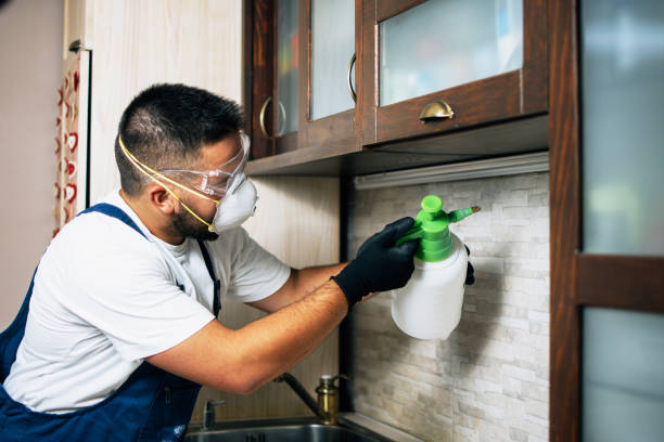 Best Termite Control Services  in West Puente Valley, CA