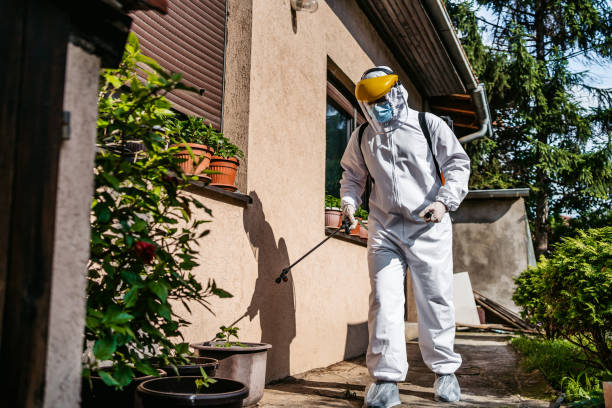 Best Local Pest Control Services  in West Puente Valley, CA