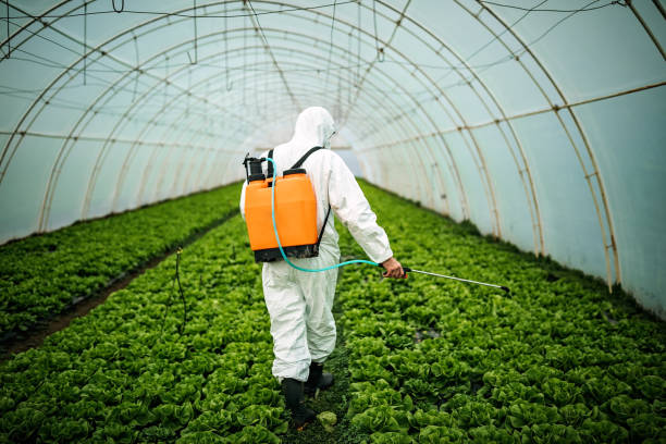 Best Affordable Pest Control Services  in West Puente Valley, CA
