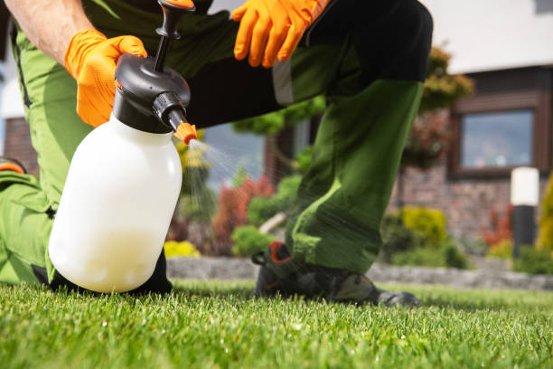 Pest Control Cost in West Puente Valley, CA