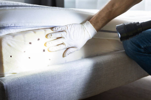 Best Pest Prevention Services  in West Puente Valley, CA