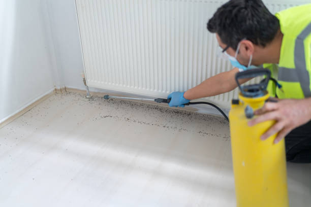 Best Wasp Removal Services  in West Puente Valley, CA