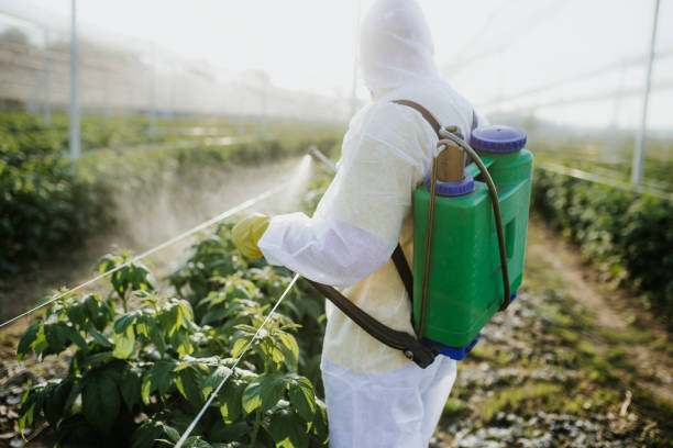  West Puente Valley, CA Pest Control Pros
